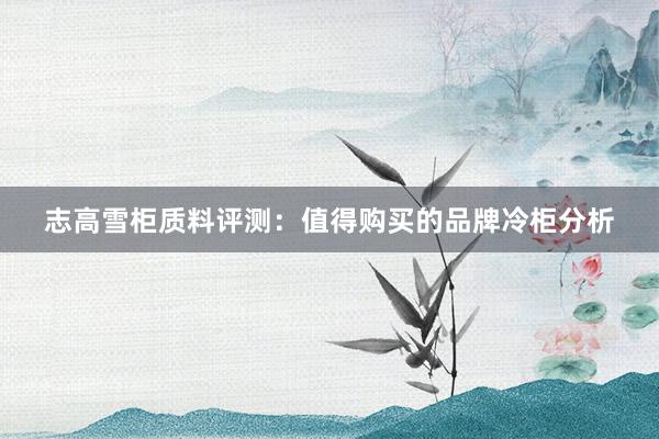 志高雪柜质料评测：值得购买的品牌冷柜分析